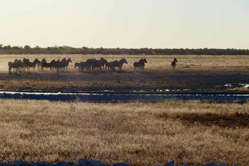 Namibia